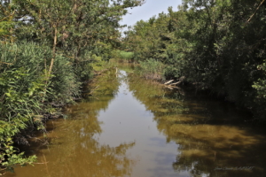 Les Aiguamolls De L'Empurda 5