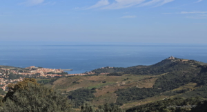 Banuyls Et Massane 10