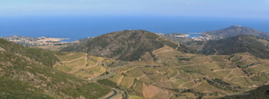 Projection: Rectilinear (0) FOV: 48 X 45 Ev: 13,89