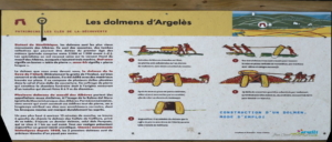 Banuyls Et Massane 15