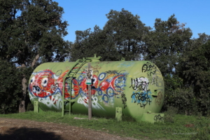 Banuyls Et Massane 16