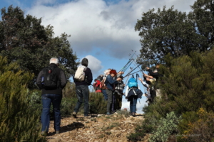 Banuyls Et Massane 21