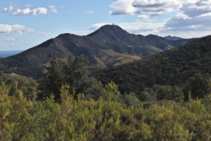 Banuyls Et Massane 22