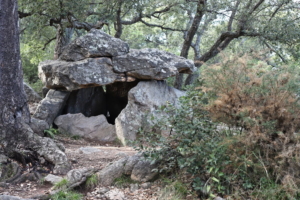 Banuyls Et Massane 24