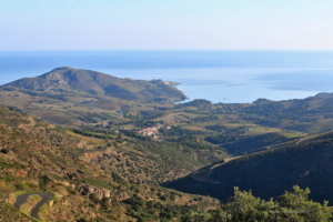 Banuyls Et Massane 3