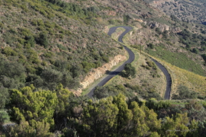Banuyls Et Massane 4