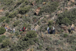 Banuyls Et Massane 9