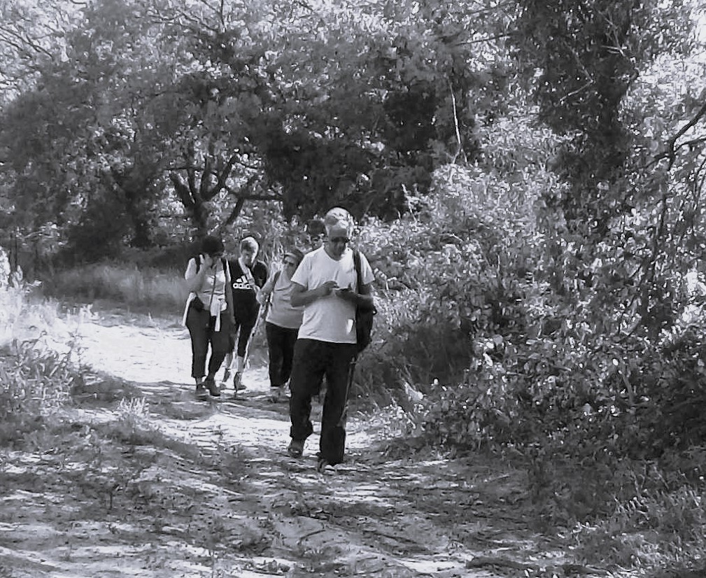 Ceyras Marche Lente Du 5 Octobre 23